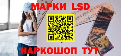 кокс Бийск