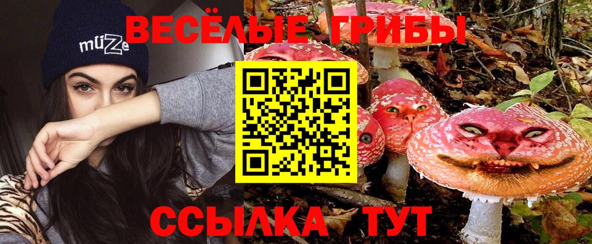 Галлюциногенные грибы ЛСД  Вход с VPN  Златоуст 